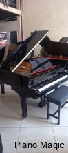 bernhard-steiner-polished-ebony-grand-piano-beautiful-restored-gauteng