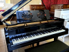 steinway-grand-piano-black-model-o-stunning-pretoria-1 steinway-grand-piano-black-model-o-stunning-pretoria-1