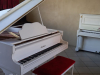 otto-bach-white-baby-grand-gorgeous-Sandton-1 otto-bach-white-baby-grand-gorgeous-Sandton-1